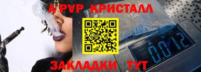 шишки Можга