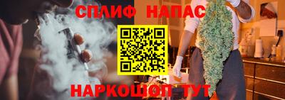 шишки Можга
