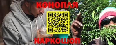 шишки Можга