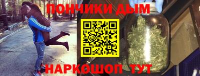 шишки Можга