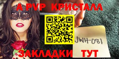 шишки Можга