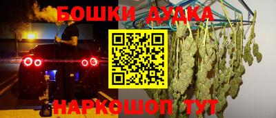 шишки Можга