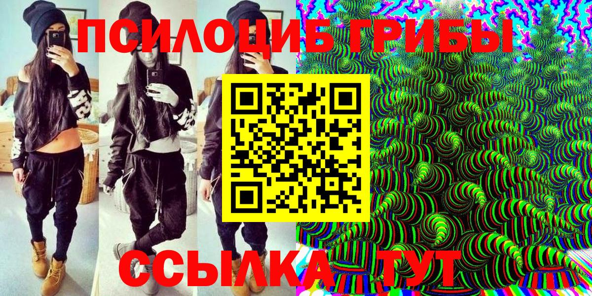 Ярославль  Галлюциногенные грибы Psilocybe  Вход с VPN  Псилоцибиновые грибы Psilocybine cubensis 
